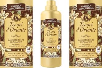 Tesori d'Oriente, Vaniglia e Zenzero del Madagascar Ammorbidente Concentrato per Lavatrice, Facilita la Stiratura, Aroma Intenso con Microcapsule di Profumo, Fino a 38 Lavaggi, 760 ml