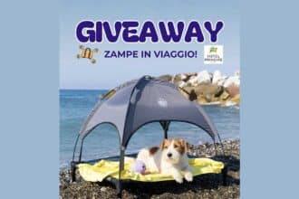 Concorso Instagram Arcaplanet