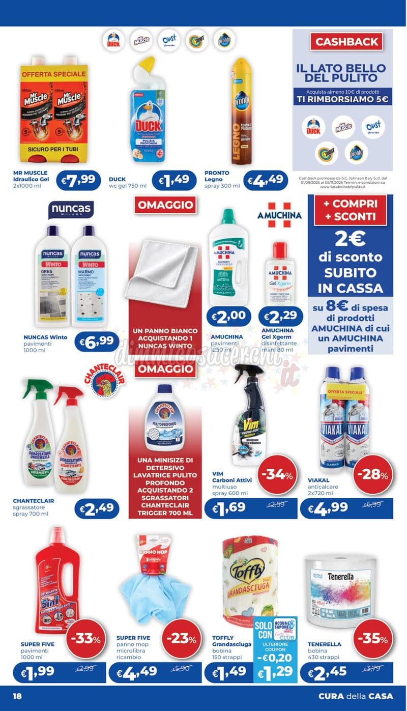 Anteprima volantino Acqua e Sapone Cesar dal 15 ottobre al 1 novembre 2026 pagina 17