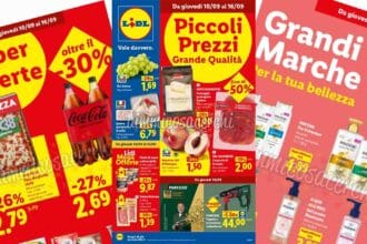 Volantino LIDL dal 10 al 16 settembre 2026: sottocosto e mega offerte